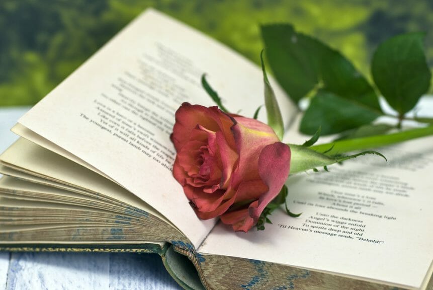 Vintage poetry book with red rose; lying on table against countryside background.