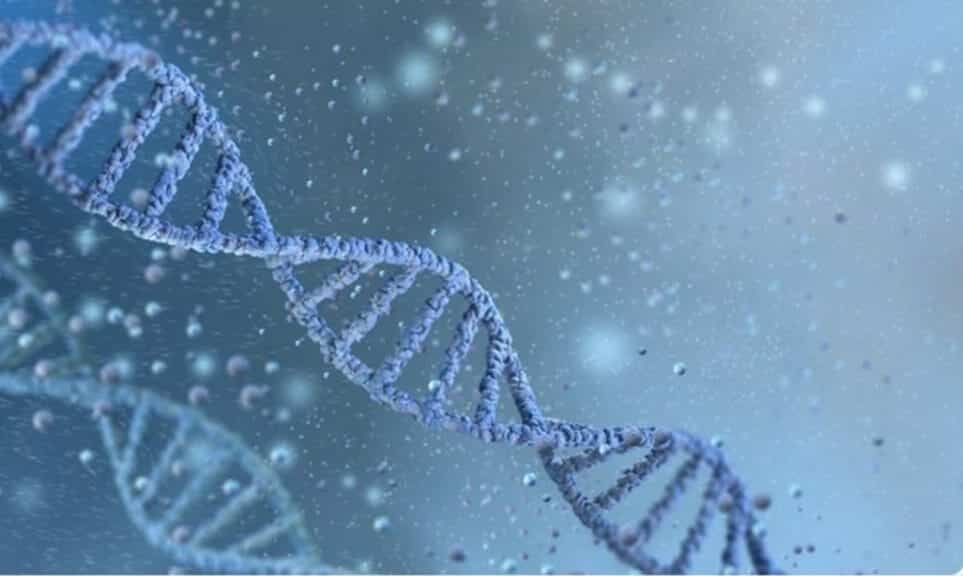 Genetics