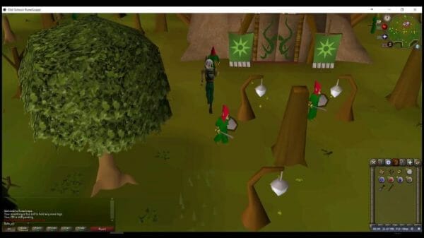 osrs the grand tree