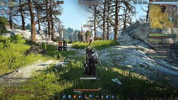 Is Black Desert Online Crossplay