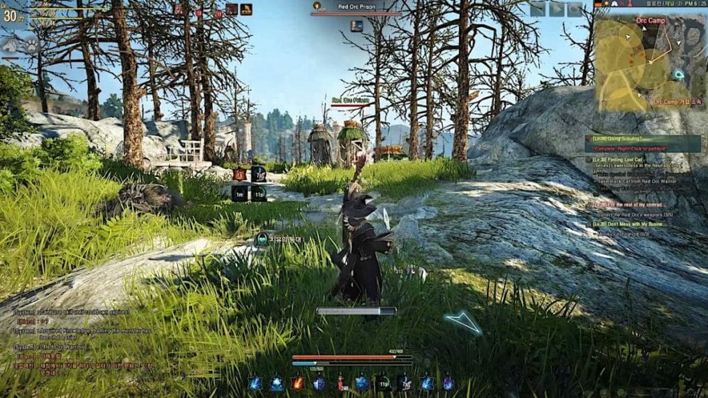 Is Black Desert Online Crossplay