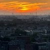 An image of the Amsterdam cityscape.