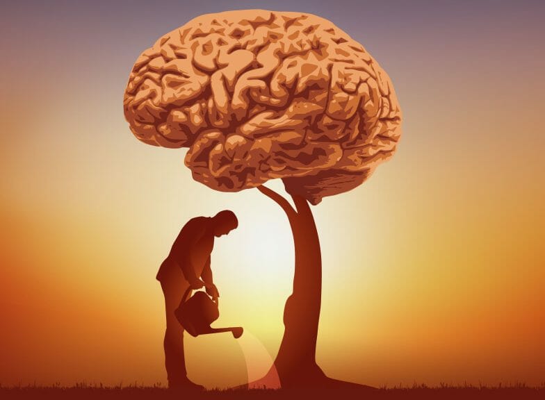 Symbolic image of a man watering a tree consisting of a brain.