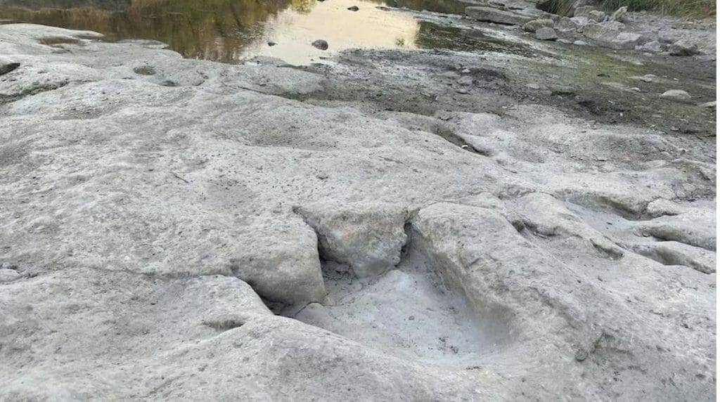 longest dino tracks
