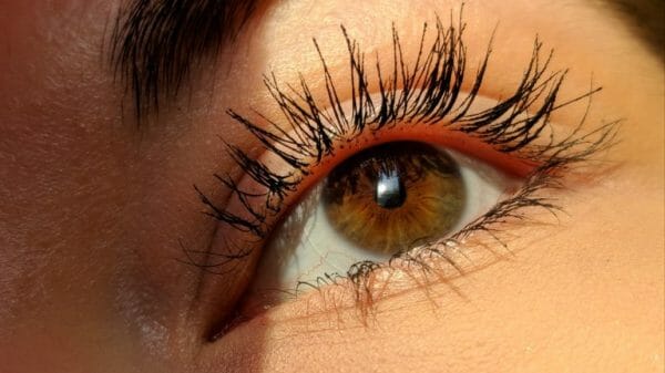 Woman's eyelashes