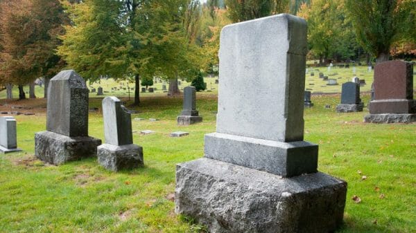 A blank gravestone in a sunny graveyard.