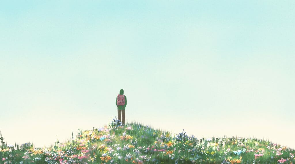 A floral meadow peak with a person standing atop it while looking at the blue sky. 