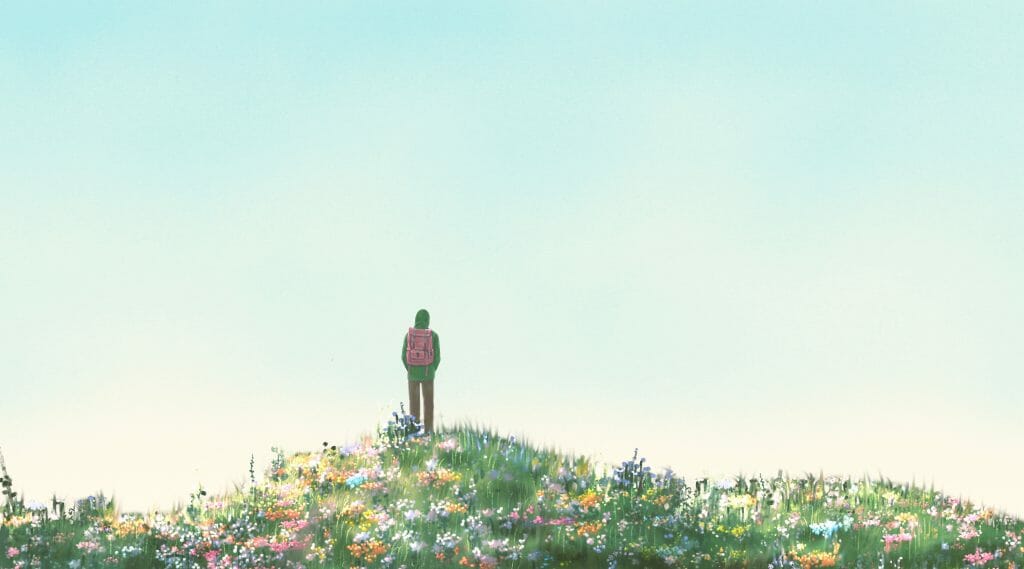 A floral meadow peak with a person standing atop it while looking at the blue sky.