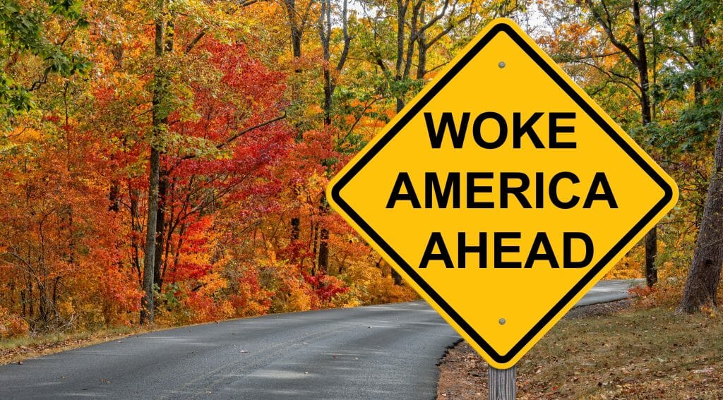 Yellow street sign reads "woke america ahead"