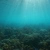 Virus in Mariana Trench