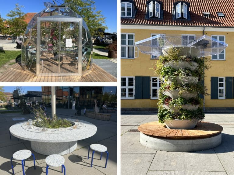 Collage of three images. Top left: Public greenhouse. Bottom Left/Right: Plants growing from benches and tables. 