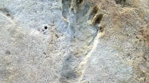 OLDEST FOSSIL HUMAN FOOTPRINTS