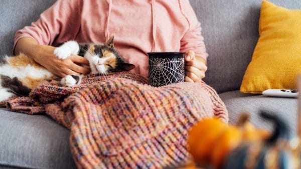 Image of a person sitting with a cat and mug on their lap.