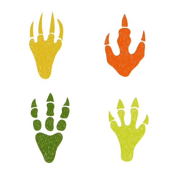 A graphic of 4 different dinosaur footprints in different colors. 