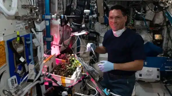 Astronaut Frank Rubio stands in front of one of NASA's botany experiments.