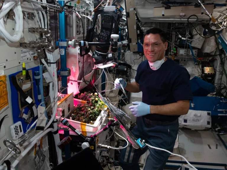 Astronaut Frank Rubio stands in front of one of NASA's botany experiments.