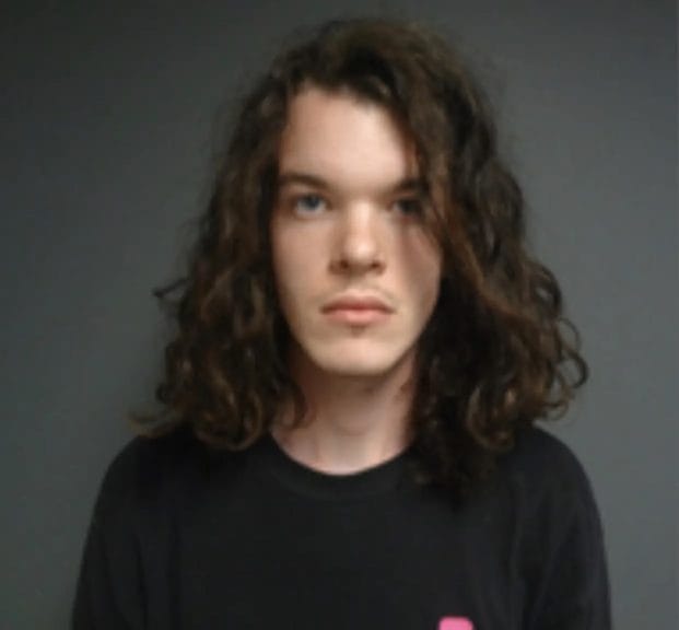 Mugshot of 21-year-old Westen Soule, who has long brown hair.
