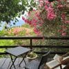 outside patio with floral spring background