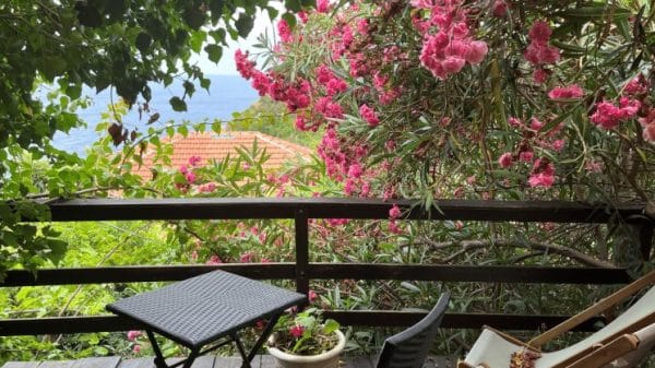 outside patio with floral spring background
