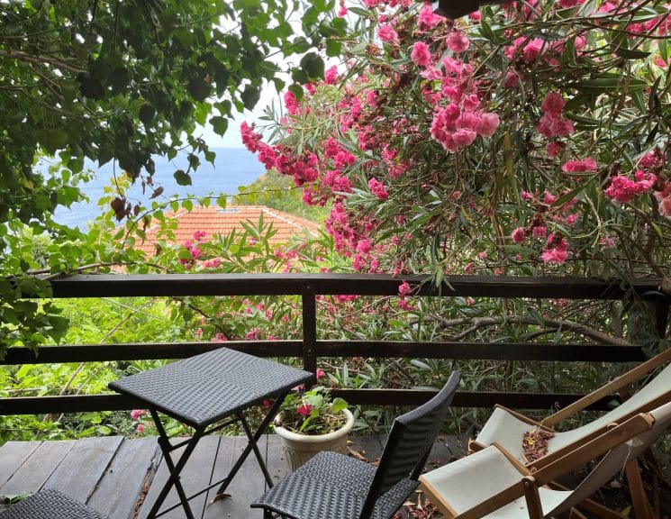 outside patio with floral spring background