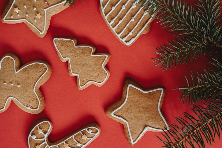 Iced gingerbread cookies of different shapes in front of a red background.