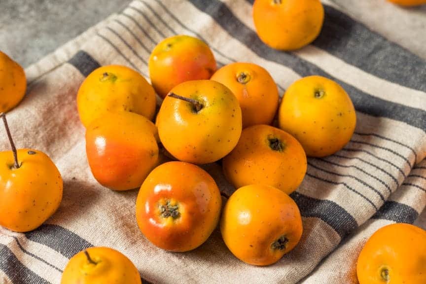 Raw bunch of orange organic Tejocote