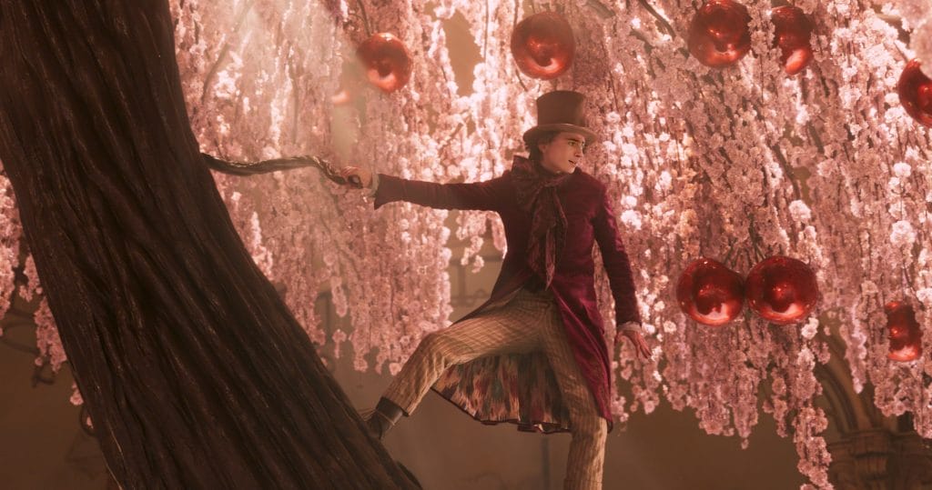 Timothee Chalamet as Willy Wonka, posing in his chocolate store.