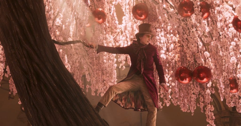 Timothee Chalamet as Willy Wonka, posing in his chocolate store. 