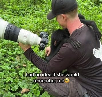 Monkey hugs person who helped save her.