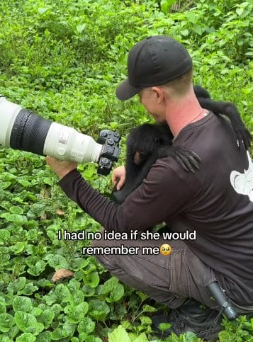 Monkey hugs person who helped save her.