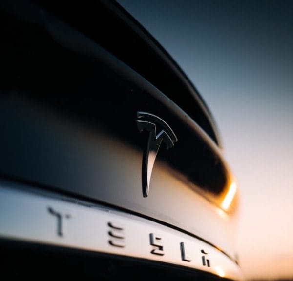 Tesla driver