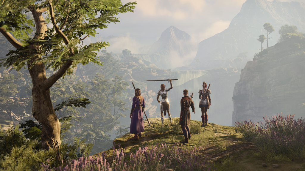 Four of the core characters of Baldur's Gate 3 stand on a hillside overlooking a forest.