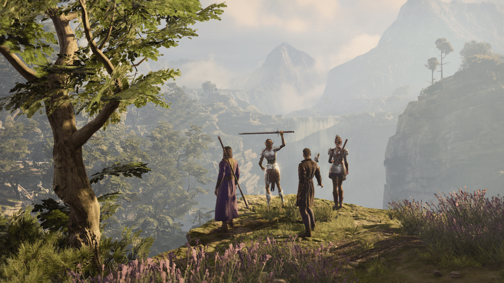 Four of the core characters of Baldur's Gate 3 stand on a hillside overlooking a forest.