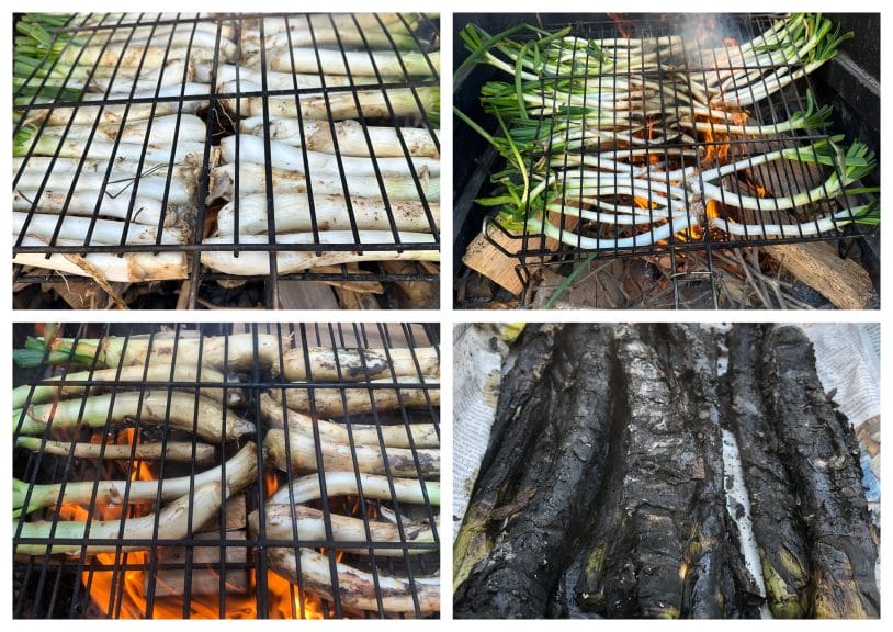 A collage of calçots cooking on the barbecue.