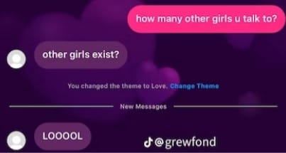 A screenshot showing an Instagram conversation using the love theme. 