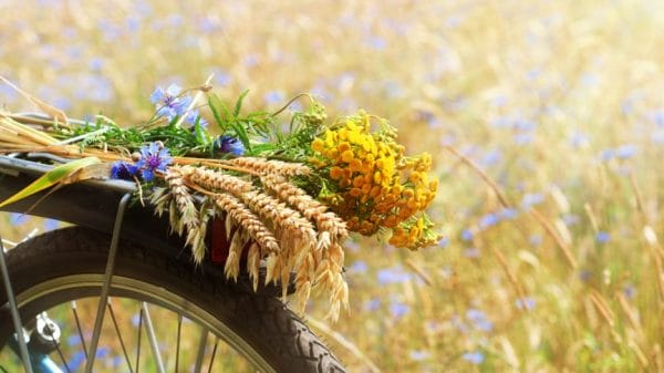 Bike with Spring flowers on the tire in a field