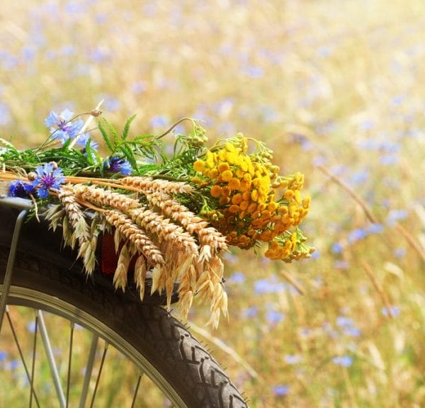 Bike with Spring flowers on the tire in a field