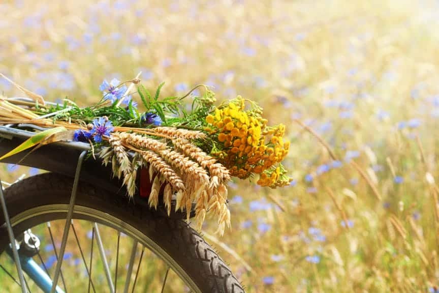 Bike with Spring flowers on the tire in a field