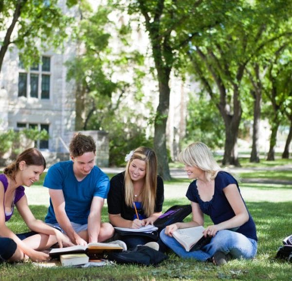 Four friends studying together outside their college on the grass.
