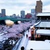 A screenshot from Sora's AI video of a Tokyo street.