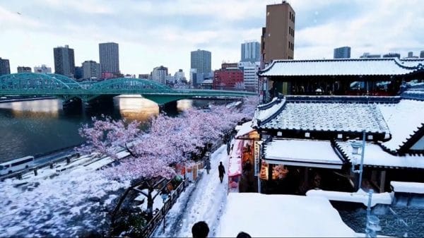 A screenshot from Sora's AI video of a Tokyo street.