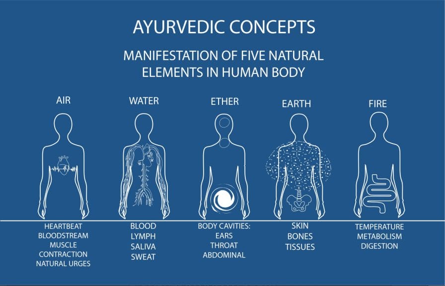 ayurvedic concepts displayed on a blue infographic