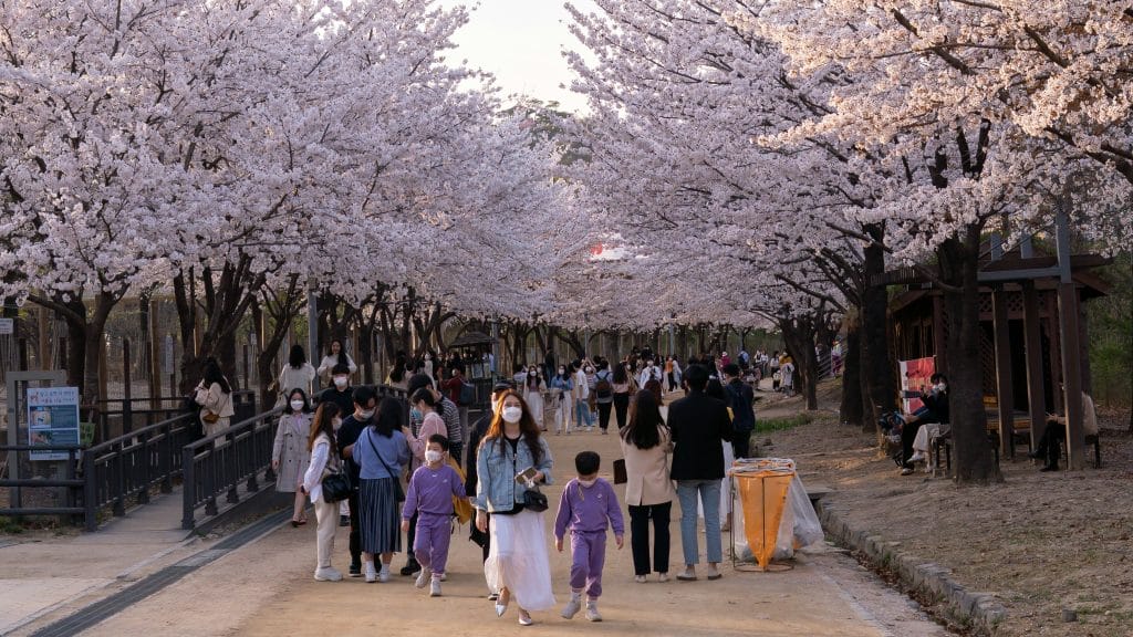 Springtime Strollers