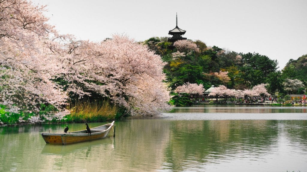 Historic temples and shrines are enveloped in a soft pink hue.