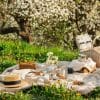 Picture shows a picnic outside. There is a white blanket, food and a hat. In the background there are trees with white flowers on them.