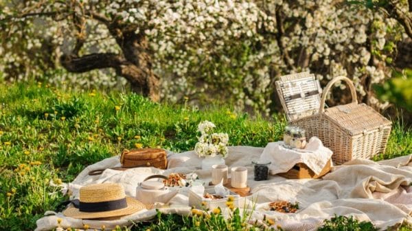 Picture shows a picnic outside. There is a white blanket, food and a hat. In the background there are trees with white flowers on them.