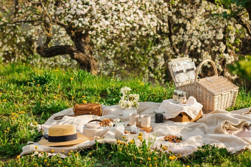 Picture shows a picnic outside. There is a white blanket, food and a hat. In the background there are trees with white flowers on them.