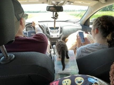 Picture of two people sitting in the front of a car.