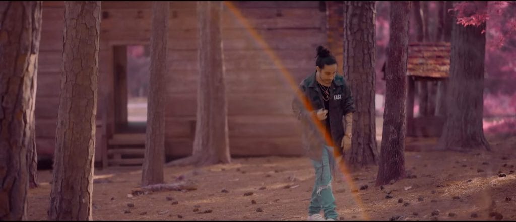 A screenshot of an artsy part of Russ's "What They Want" music video, displaying a rainbow across the screen and with a pink/purplish filter over a scene in the woods.