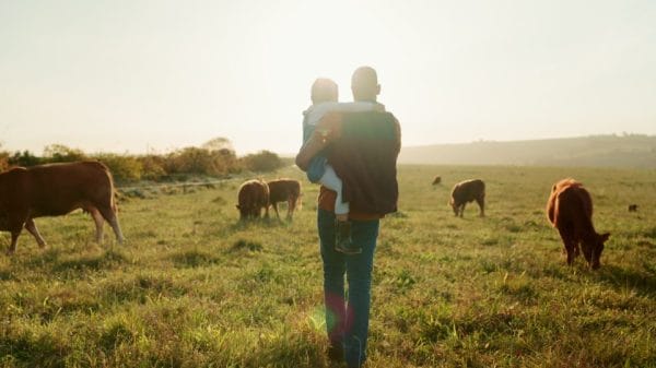 A father and child overlooking cattle on a farm